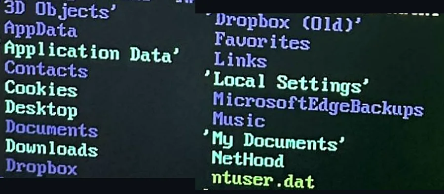 The profile folder listing: 3D Objects, AppData, Application Data, Contacts, Cookies, Desktop, Documents, Downloads, Dropbox, Dropbox (Old), Favorites, Links, Local Settings, MicrosoftEdgeBackups, Music, My Documents, NetHood, ntuser.dat.